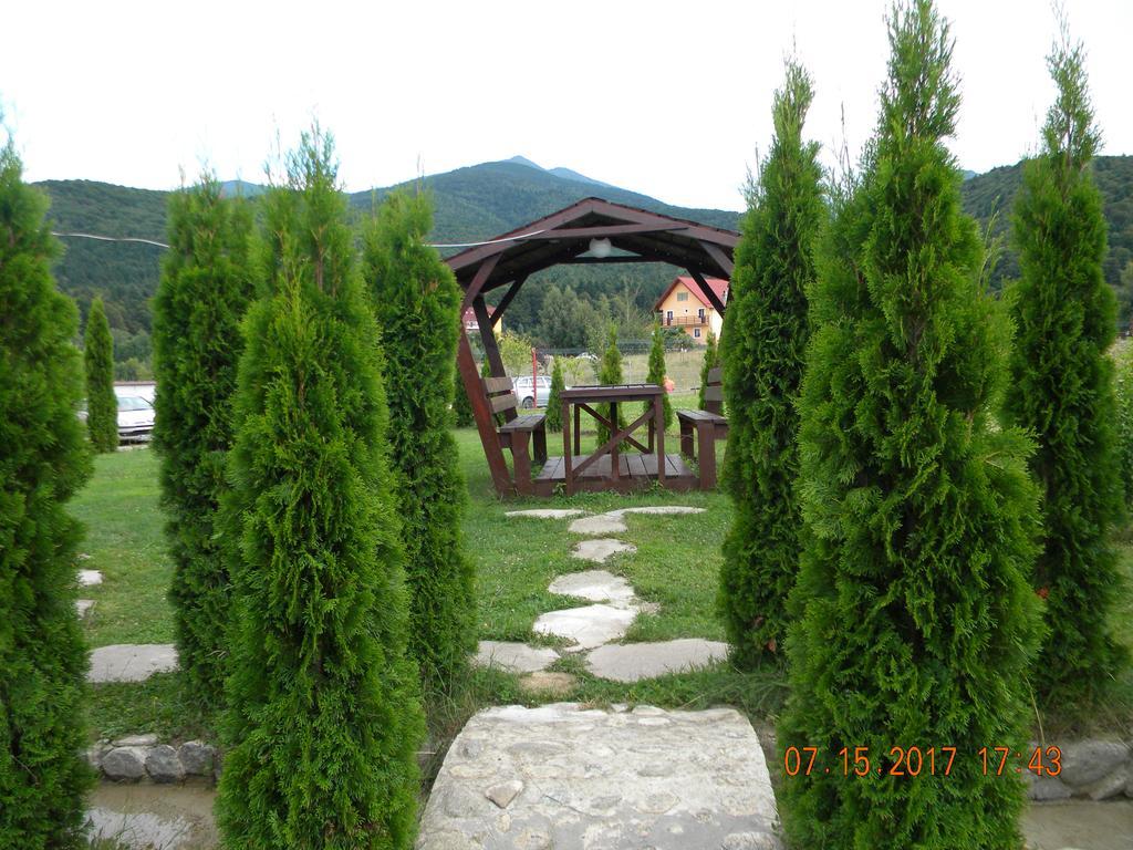 Pensiunea Mountain King Sîmbăta de Sus Exterior foto